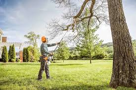 Best Stump Grinding and Removal  in Bear Rocks, PA